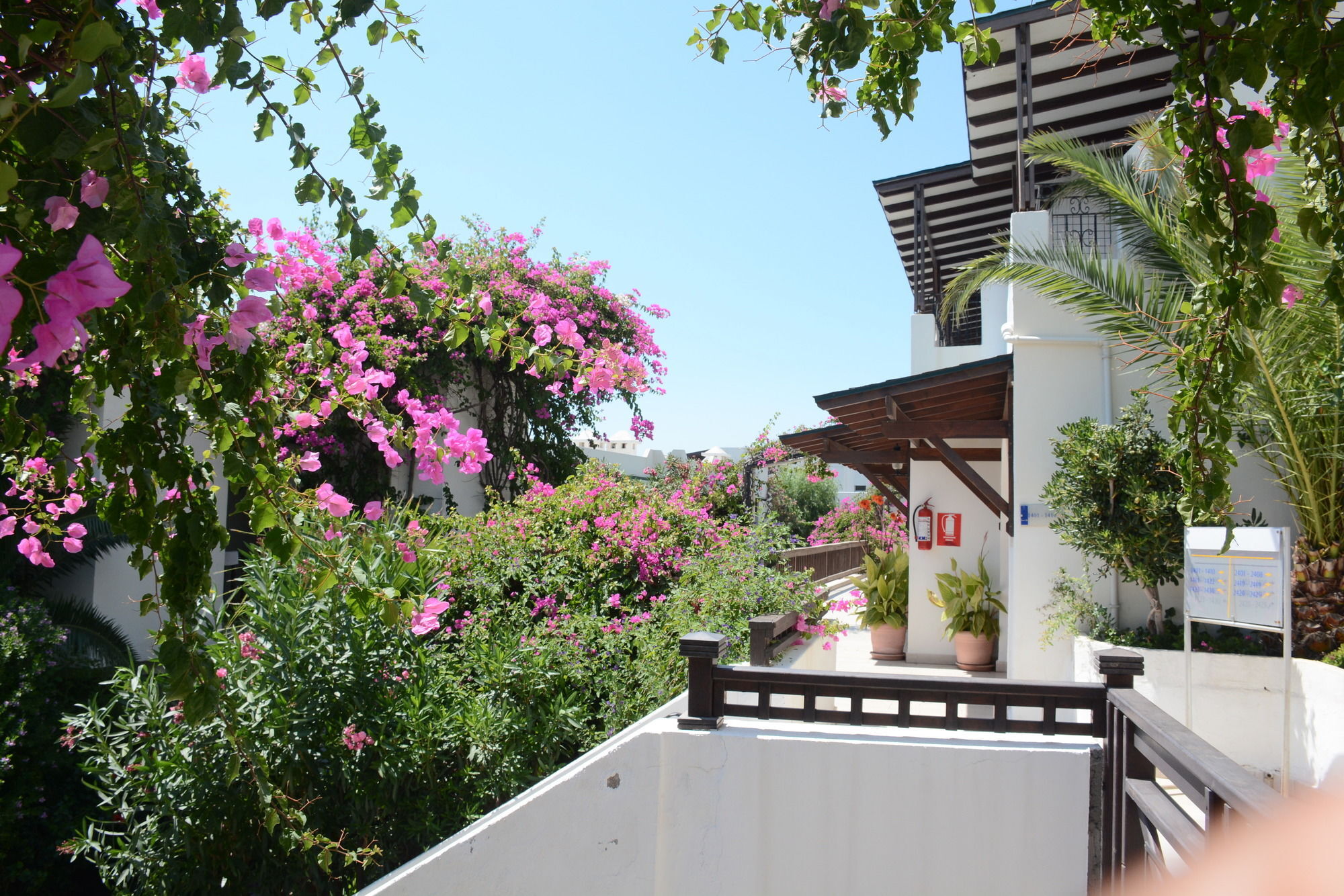 Forever Club (Adults Only) Bodrum Exteriör bild