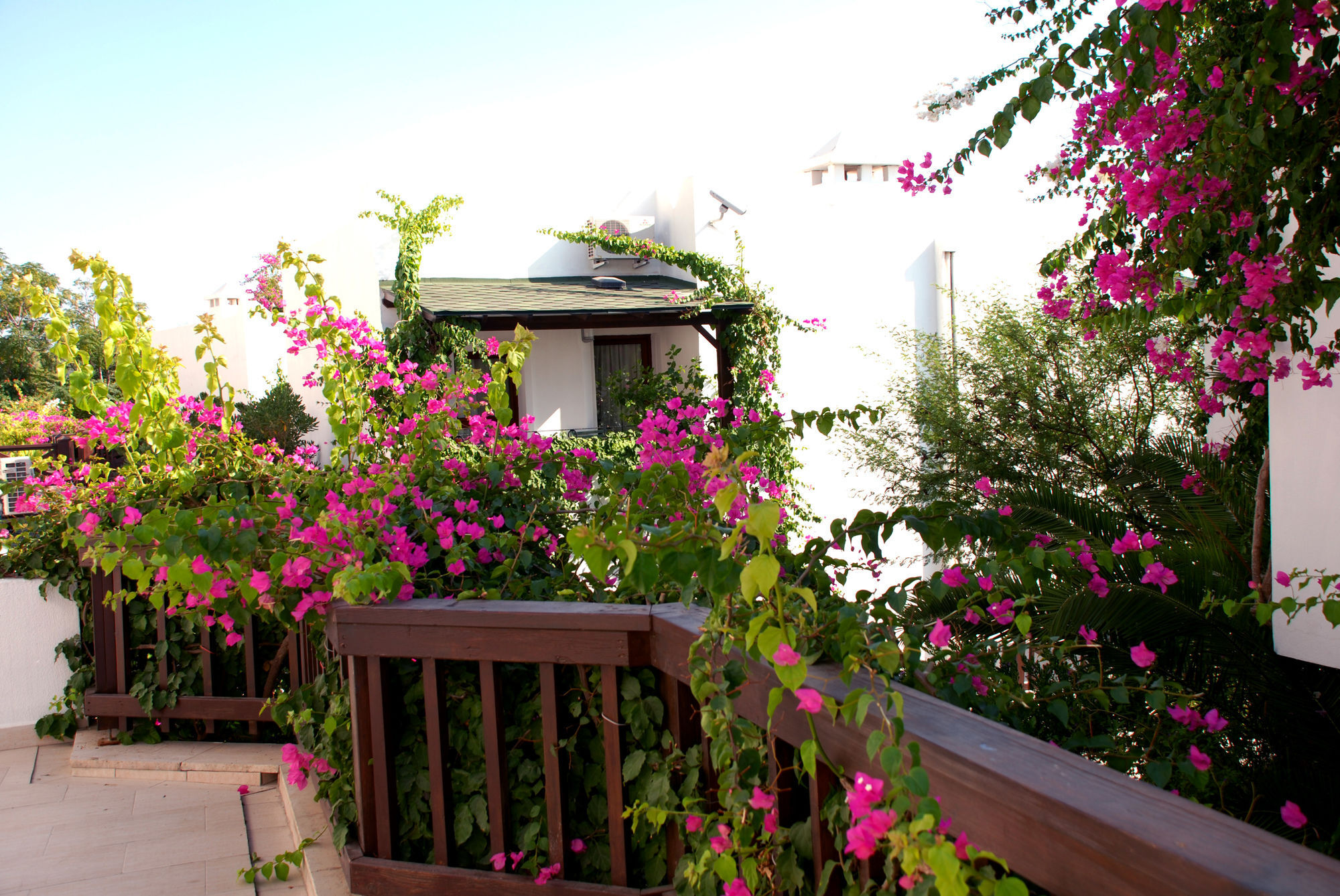 Forever Club (Adults Only) Bodrum Exteriör bild